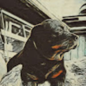 Meet your Posher, Jamie